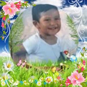 Meet your Posher, Eloisa